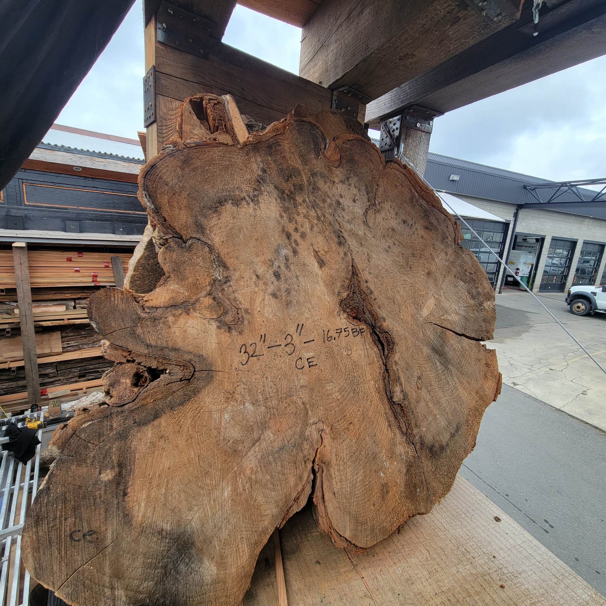 Western Red Cedar